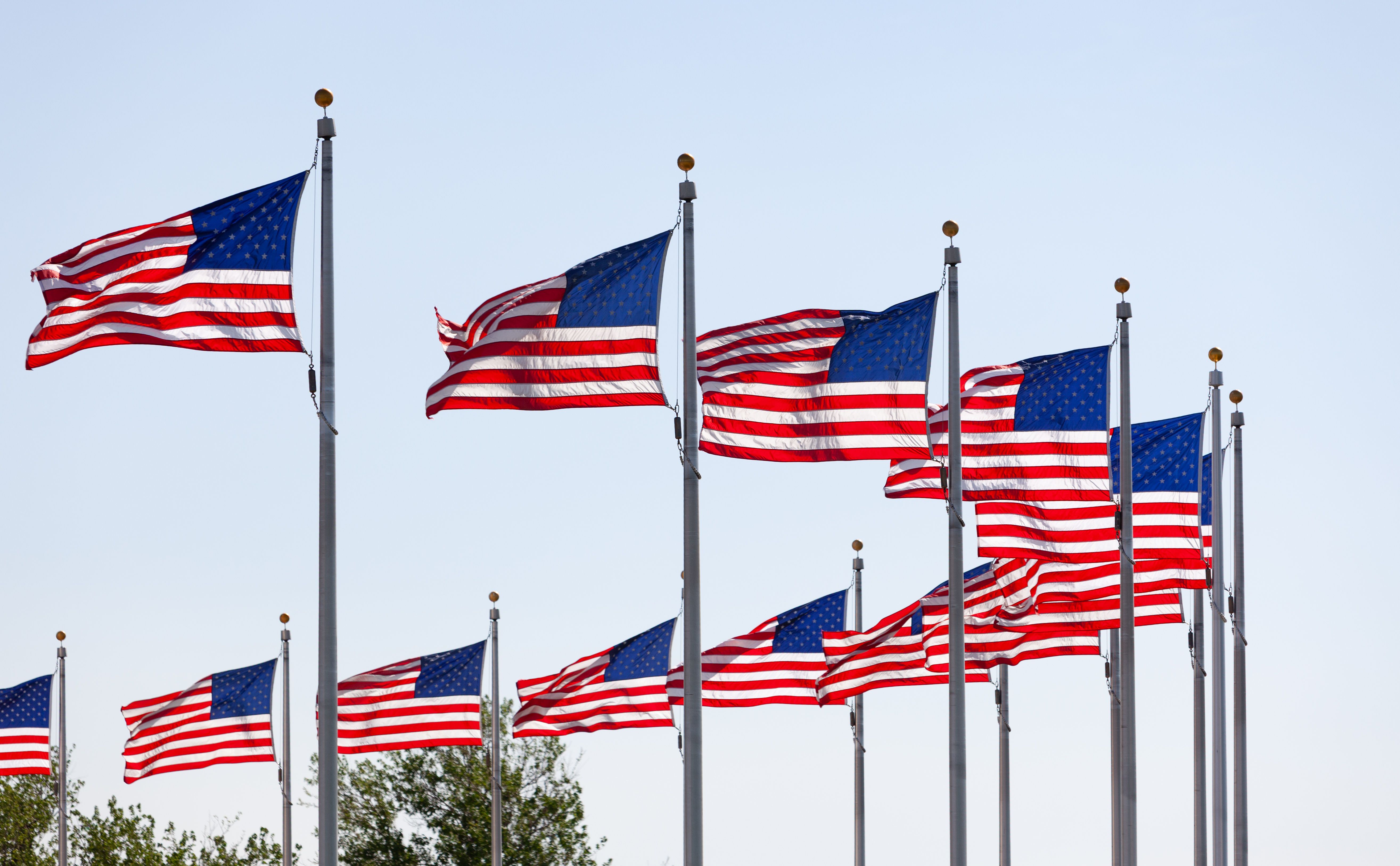 American flags waving on flagpoles in Washington, D.C., symbolizing patriotism.