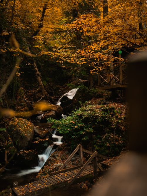 Free Tranquil waterfall surrounded by vibrant autumn foliage in a lush forest setting. Stock Photo