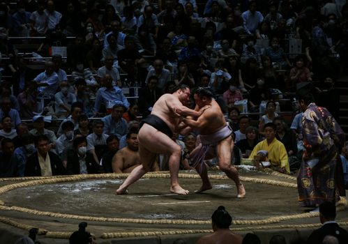 Sumo tournament (March/Sep) — Osaka