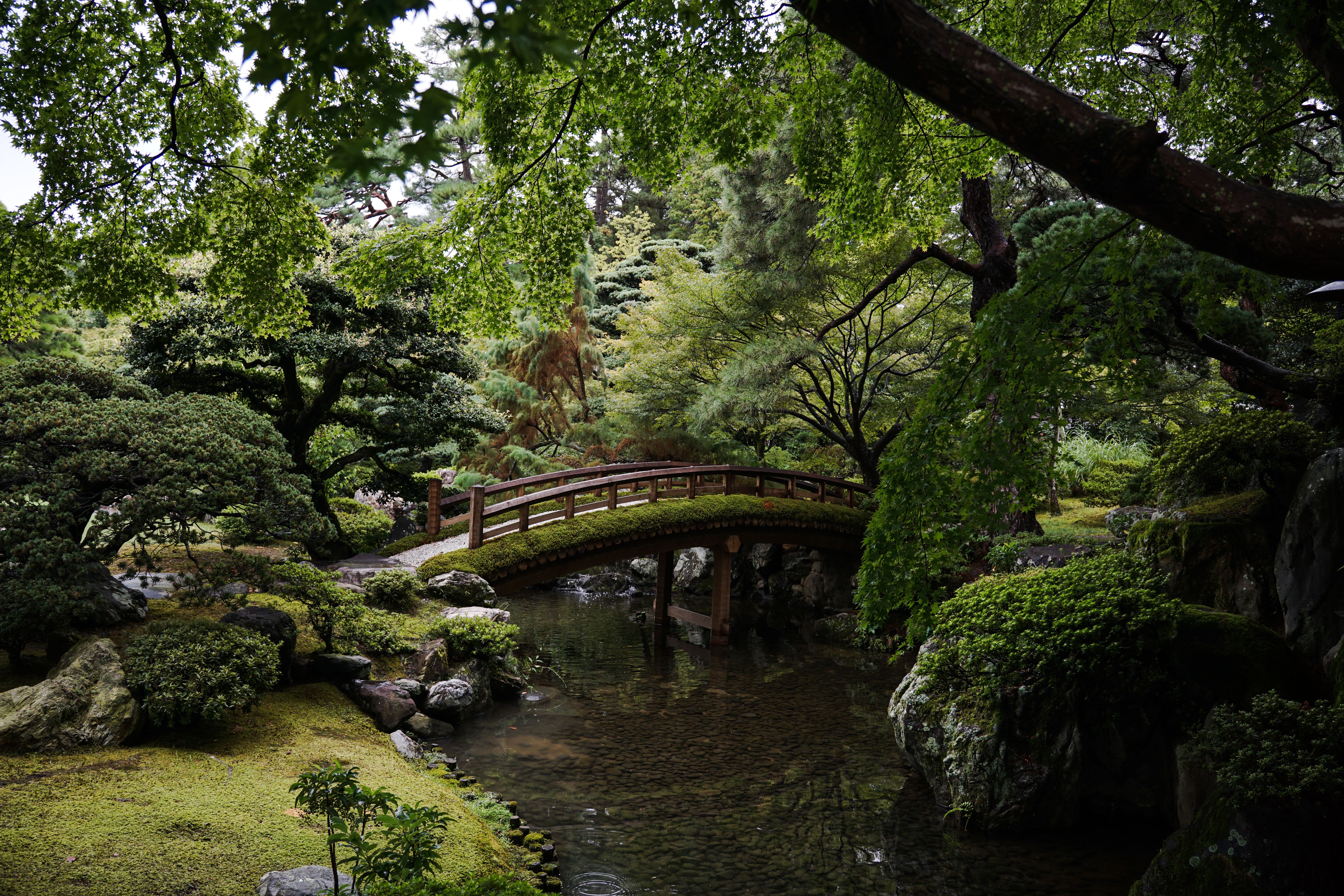 2 Day Slow Living Winter Retreat in Kyoto, Japan 2