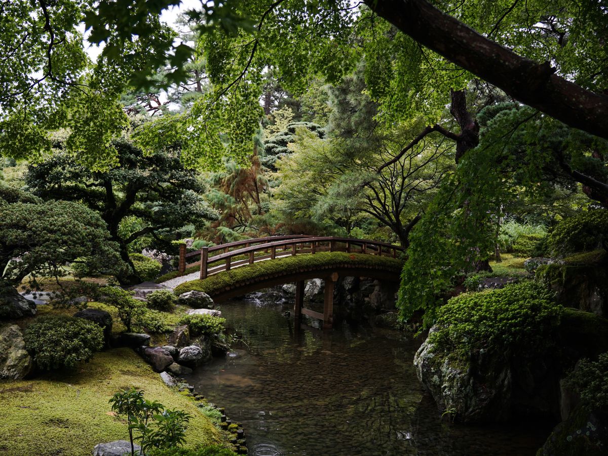 2 Day Slow Living Winter Retreat in Kyoto, Japan 2