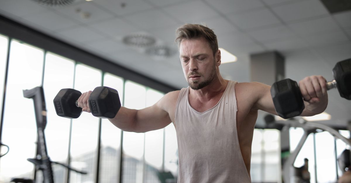 12‑Week Muscle Building Workout Plan with Dumbbells & Bands