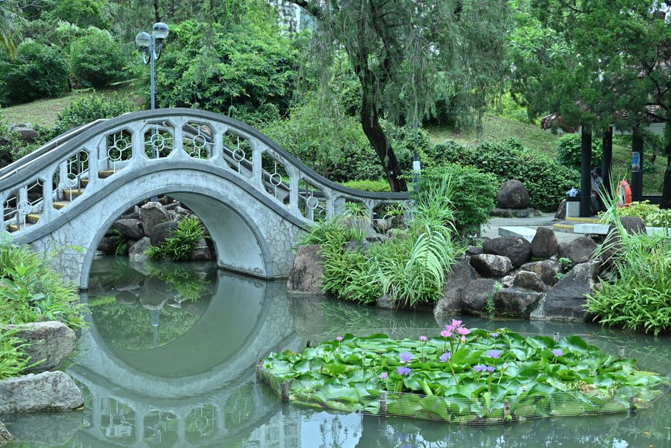 West Virginia Lily Pond Renovation