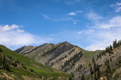 Free Breathtaking view of alpine mountains in Kashmir with lush greenery and clear blue skies. Stock Photo