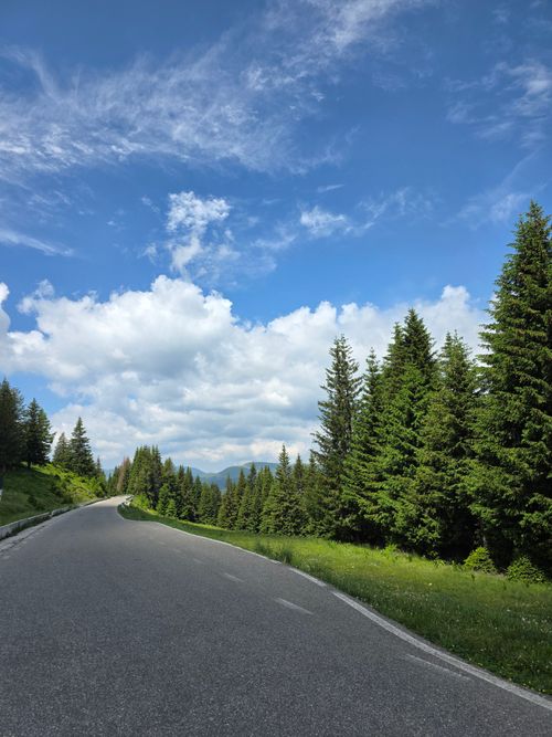 Free Curved road through a lush evergreen forest in the mountains under a bright blue sky. Stock Photo