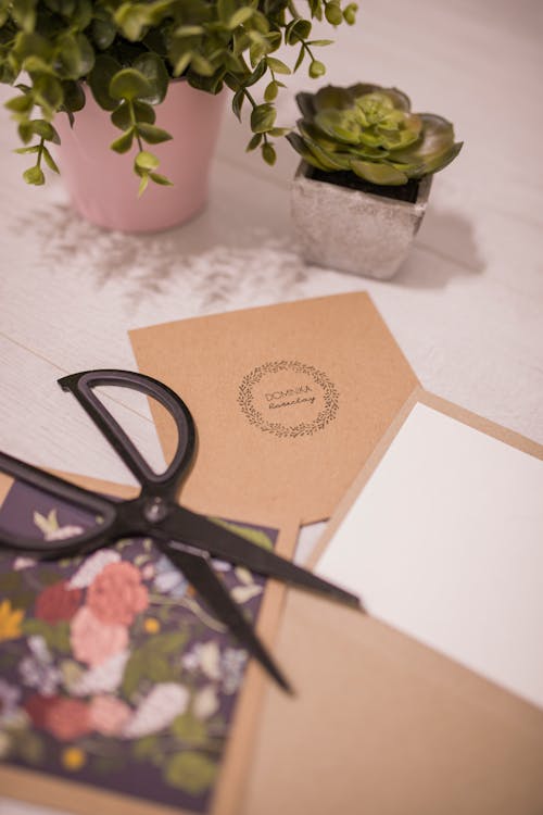 From above of scissors and invitation cards with beautiful potted plants on white wooden table