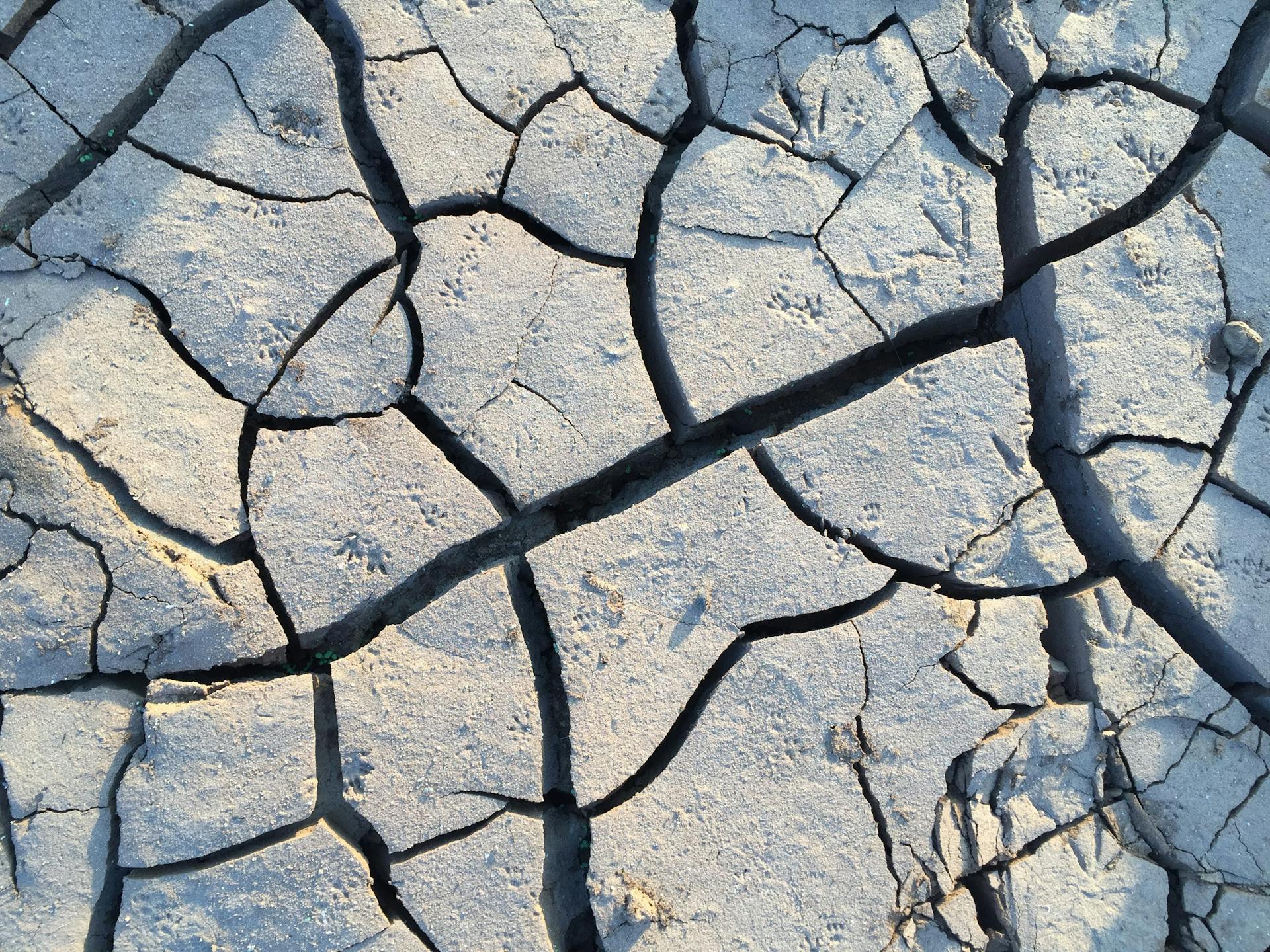 Close-up of cracked dry earth surface showing erosion in Dhamale Wadi, Maharashtra, India.