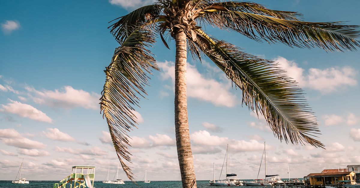 Belice: por qué la economía azul puede impulsar desarrollo y conservación Belice: por qué la economía azul puede impulsar desarrollo y conservación
