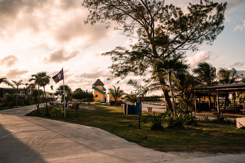 A beautiful sunrise scene on a Belize coastal road with palm trees and local architecture.
