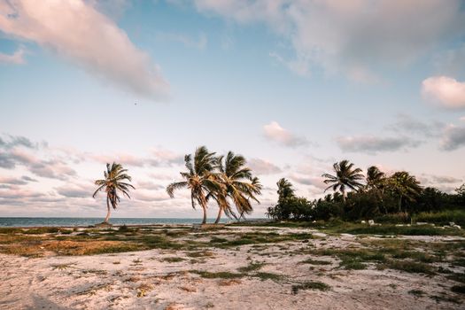 Hol Chan Marine Reserve snorkel — Belize