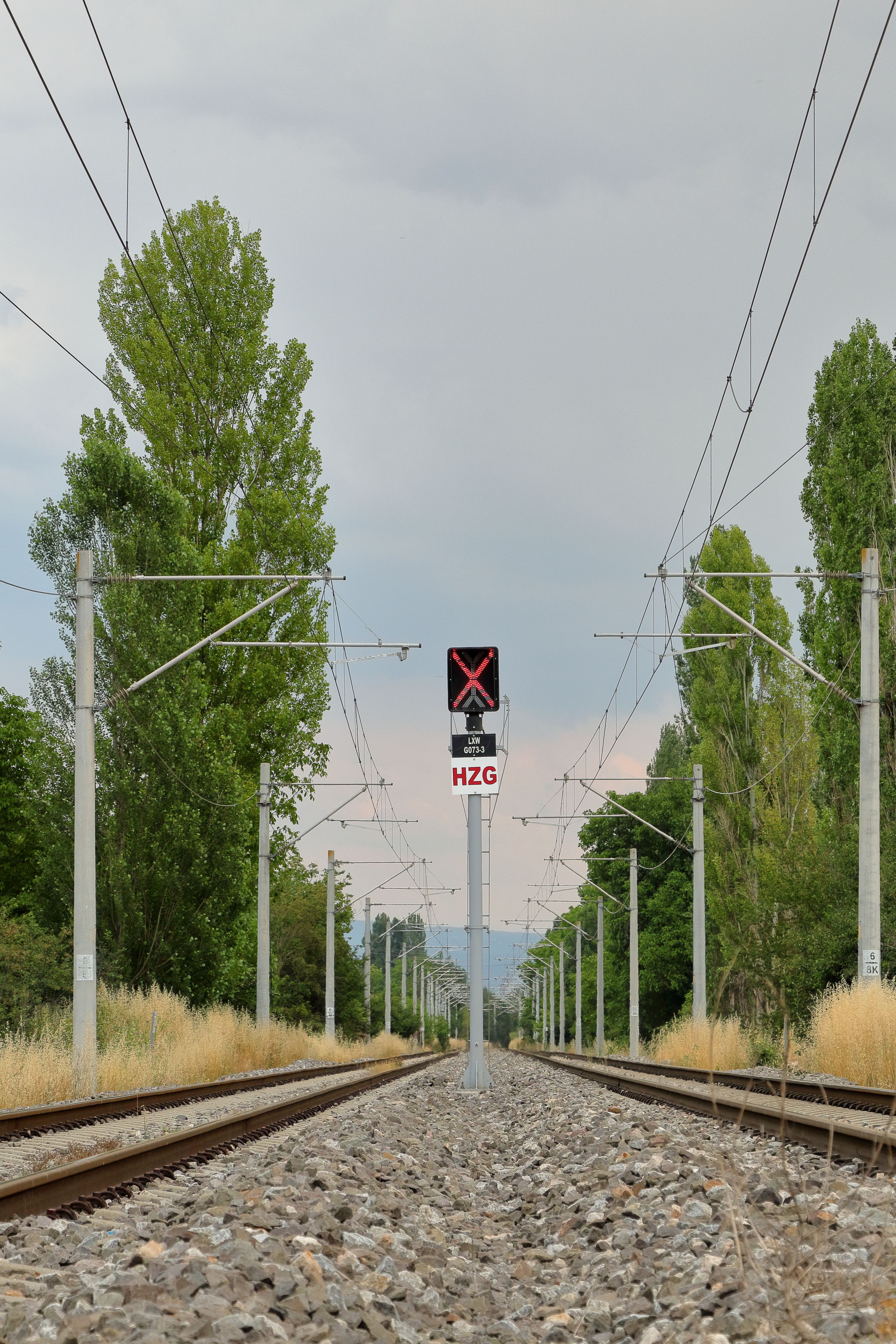 Railway tracks and signal amidst tall trees on a cloudy day, offering a serene landscape
