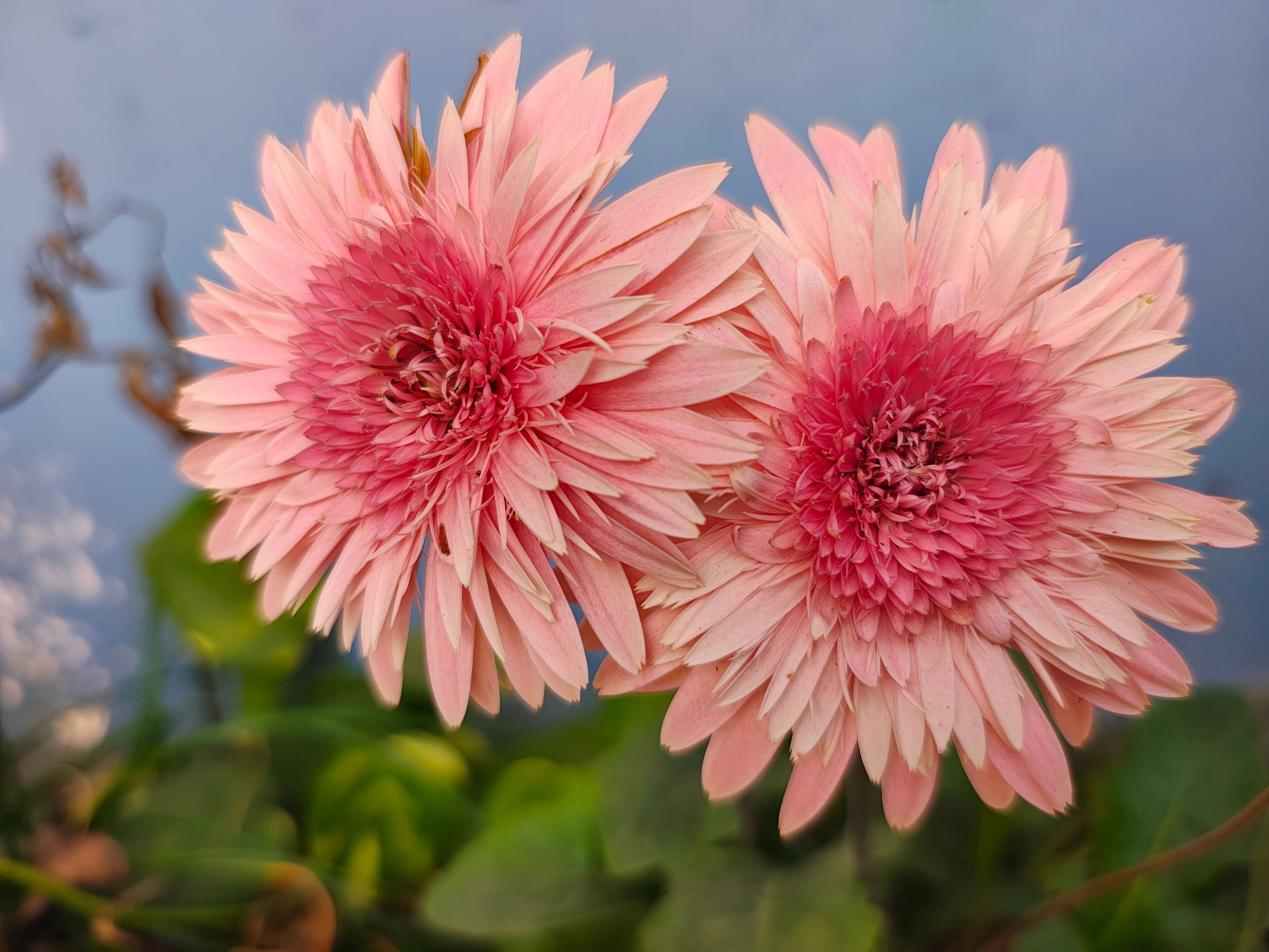 Foto: Prashant Rana / Pexels