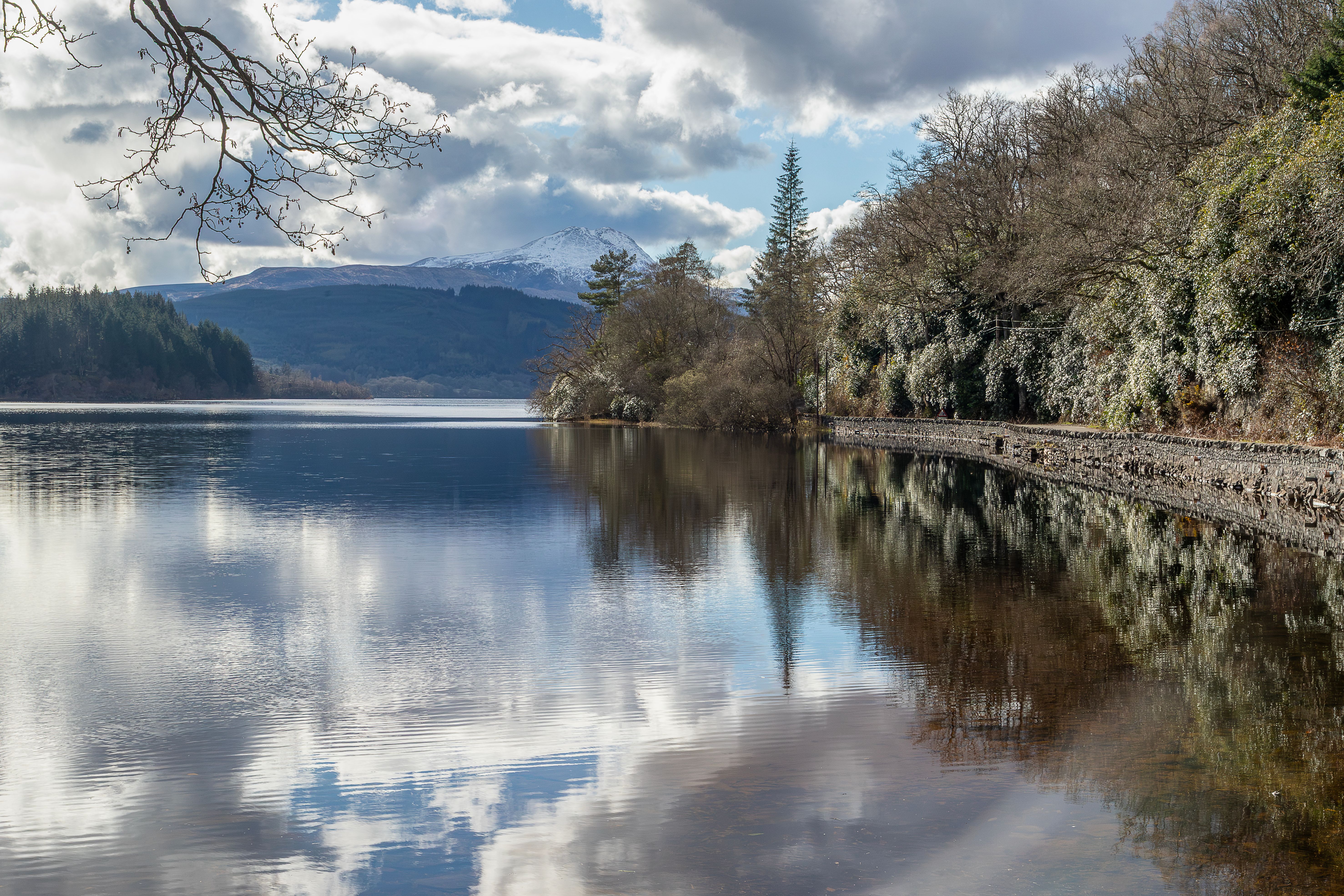 Frost-covered trees beside a still loch, with a snow-capped peak beyond