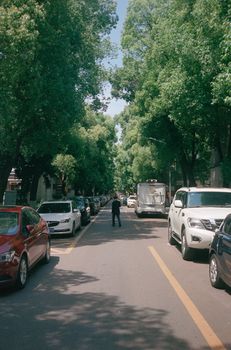 A vibrant city street lined with parked cars and lush green trees on a bright day.