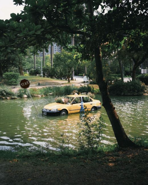 A yellow taxi submerged in a pond at a park, surrounded by greenery and a tilted stop sign.