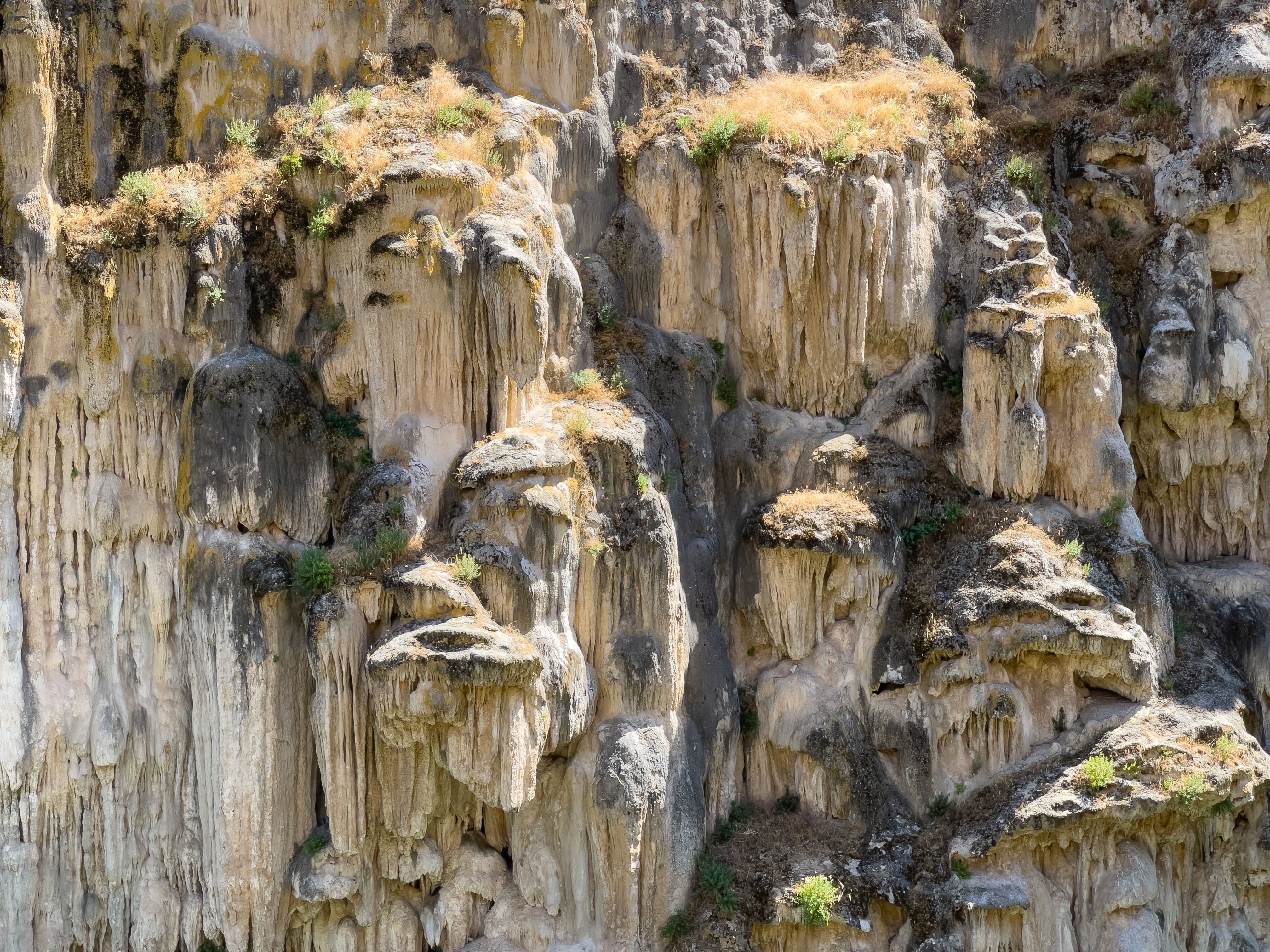 Kunming Stone Forest Chengzi Ancient Village Private Tour