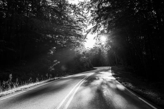Black and white photo of a road curving through a forest, sun peeking through trees.