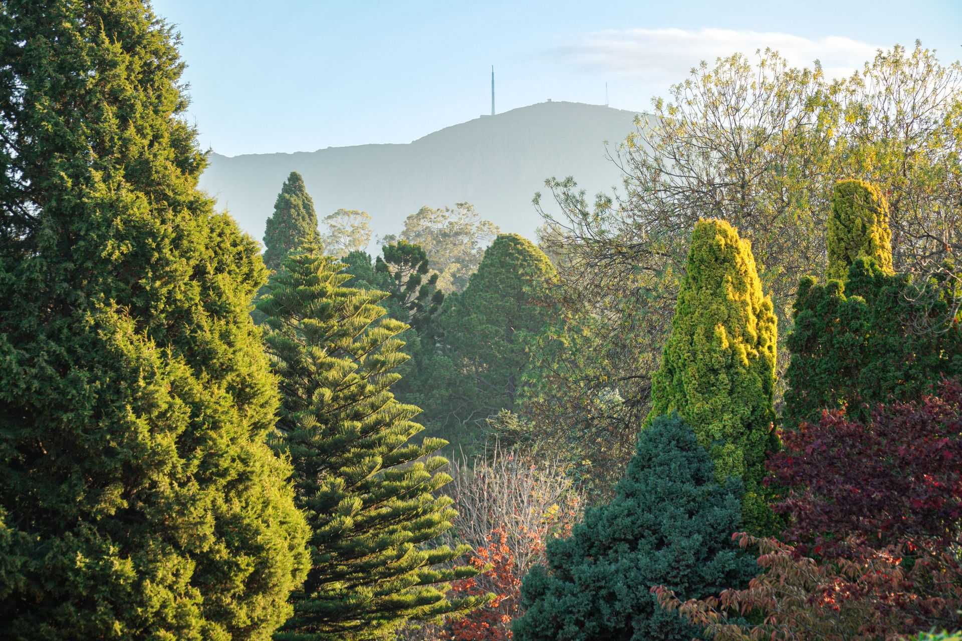 kunanyi / Mount Wellington, Hobart