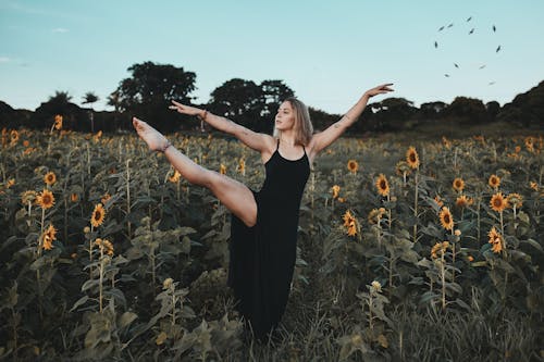 Woman in Black Tank Dress Dancing on Sun Flower Field