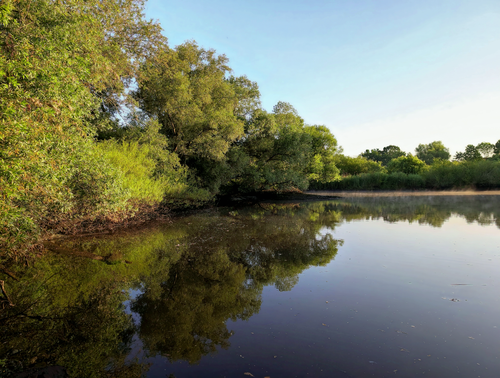 Free A peaceful riverside view reflecting lush green trees against a clear sky. Stock Photo