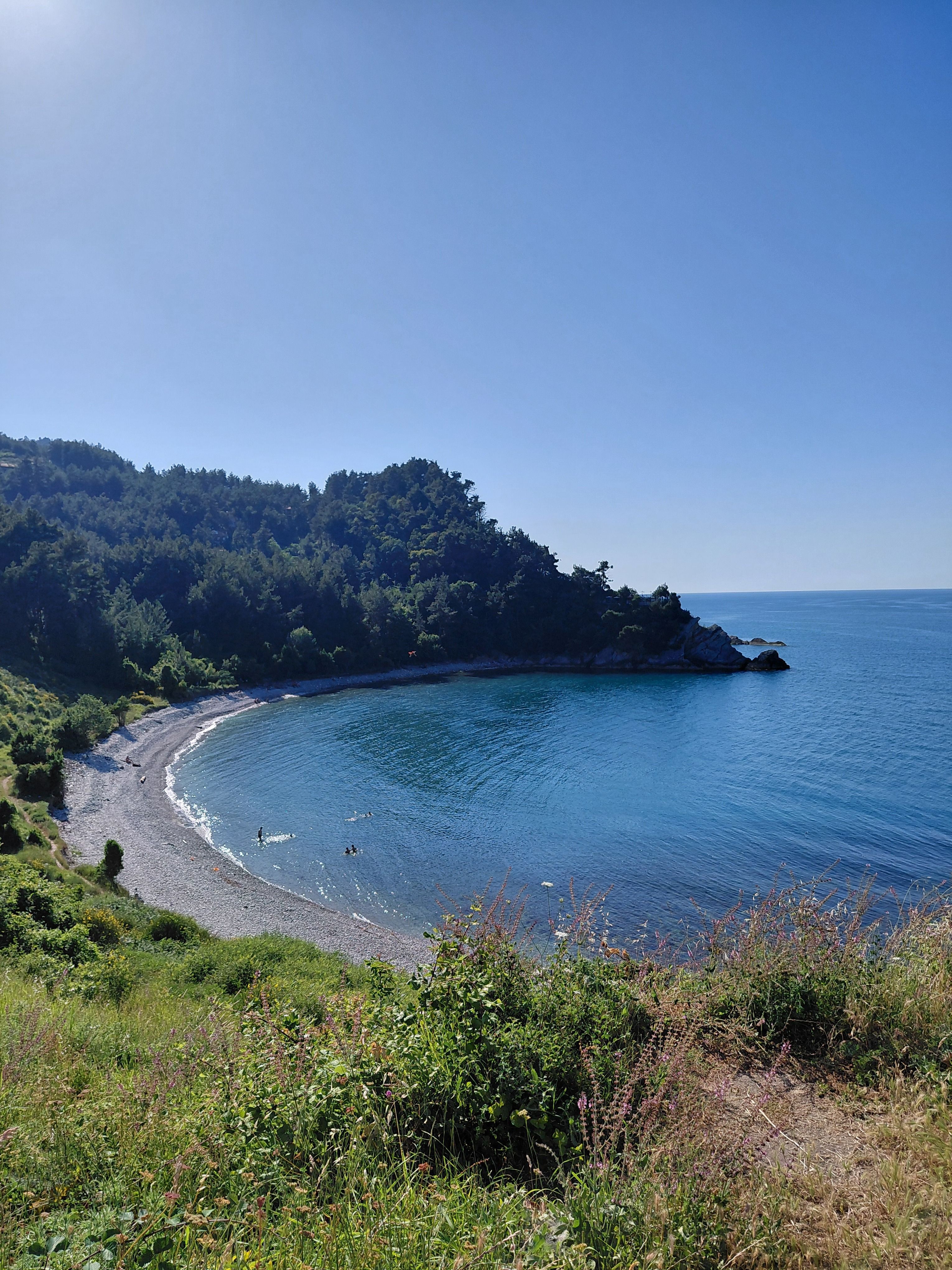Aerial view of a serene coastal beach surrounded by lush greenery with clear blue ocean water under a bright sky.