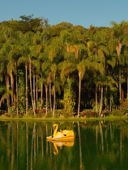 A tranquil scene of a yellow swan paddleboat on a lake surrounded by lush palm trees in Minas Gerais, Brazil.