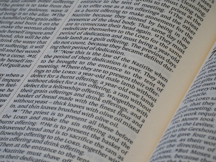 Internationaler Tag der einfachen Sprache