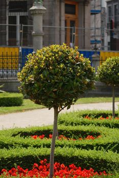 Topiary tree in a sunlit park with lush greenery and flowers in Brussels, Belgium.