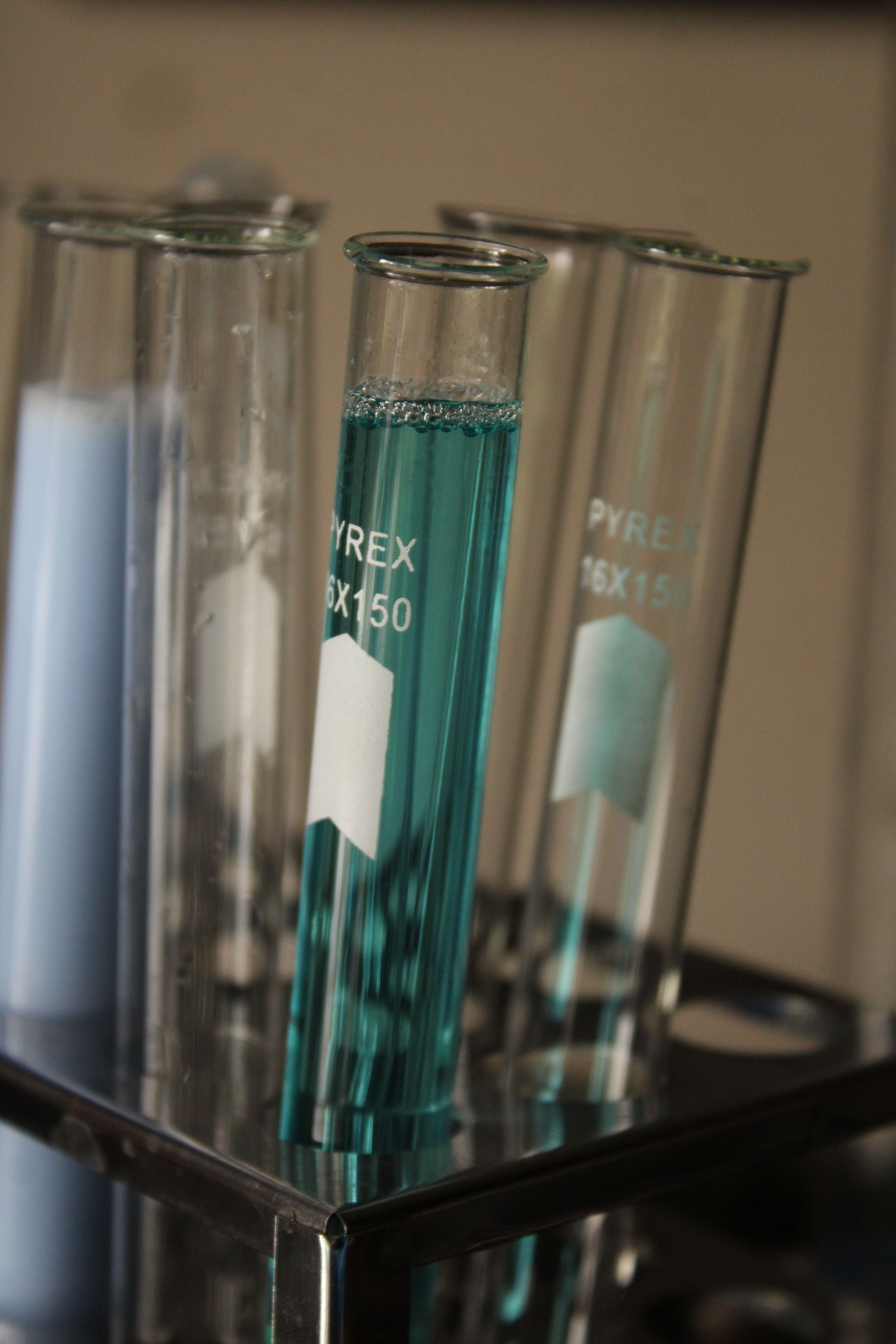 Close-up view of test tubes filled with blue liquid in a laboratory setting.