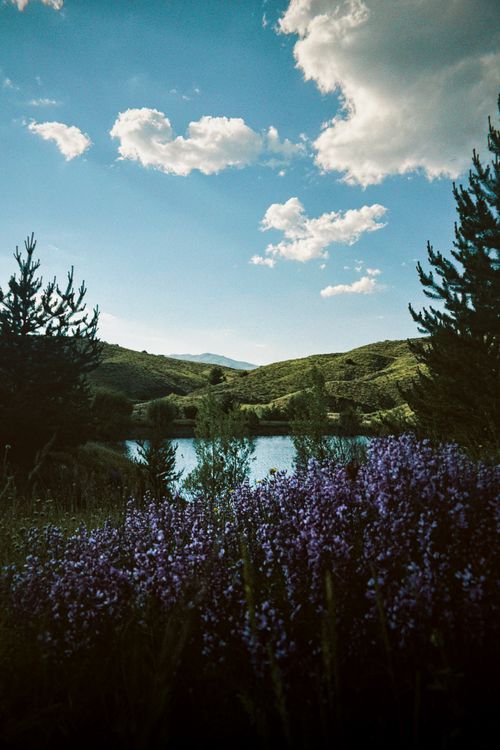 Free Captivating view of lush landscapes with a serene lake and vibrant wildflowers under a clear blue sky. Stock Photo