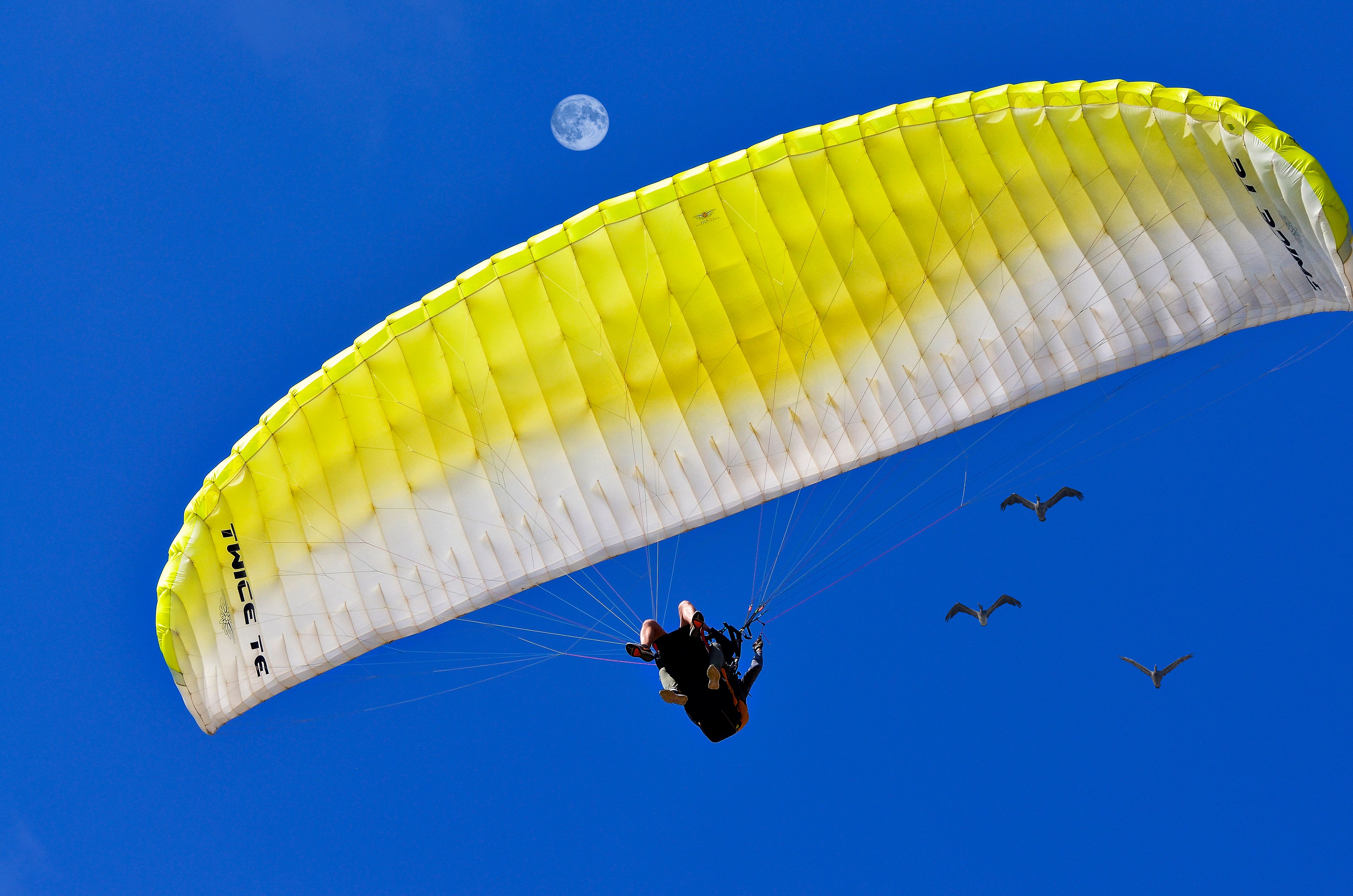 Paragliding Malta: Dingli Cliffs Tandem Flight Guide