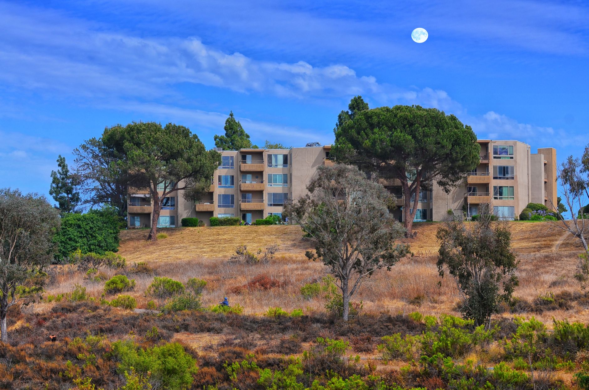 Apartment building surrounded by lush greenery and a clear sky in San Diego.