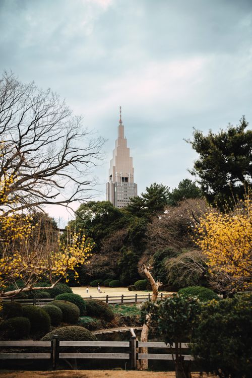 Free View of Shinjuku Gyoen Park with iconic tower framed by autumn foliage. Stock Photo