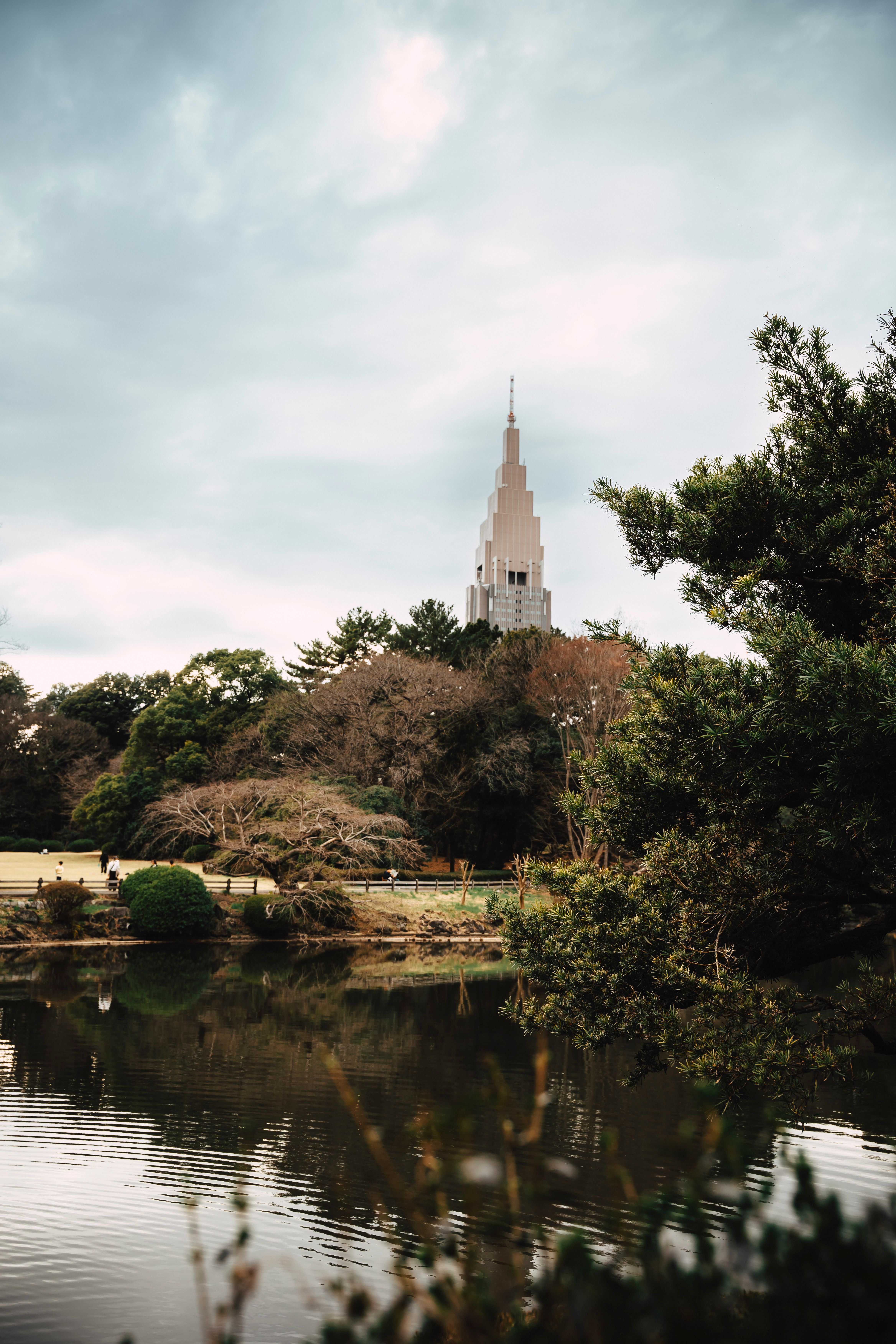 Shinjuku Gyoen National Garden, Tokyo, Japan