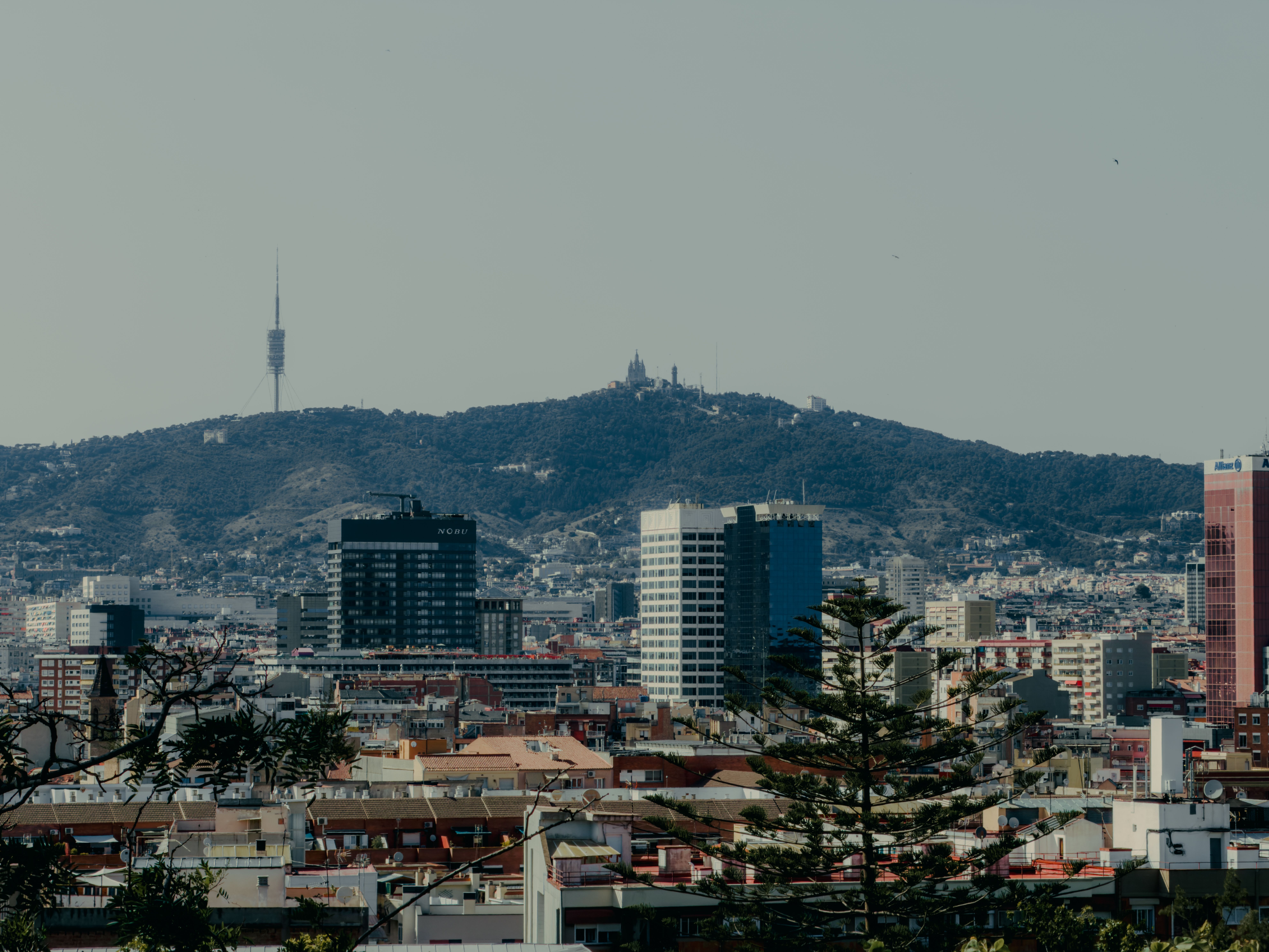Barcelona’s Smart City Overhaul: A Model for Urban Sustainability in 2026