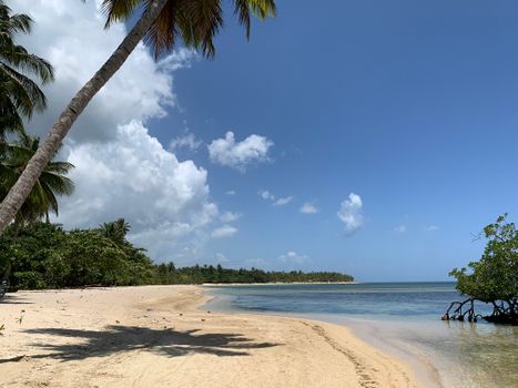 Las Terrenas quiet beach base — Dominican Republic