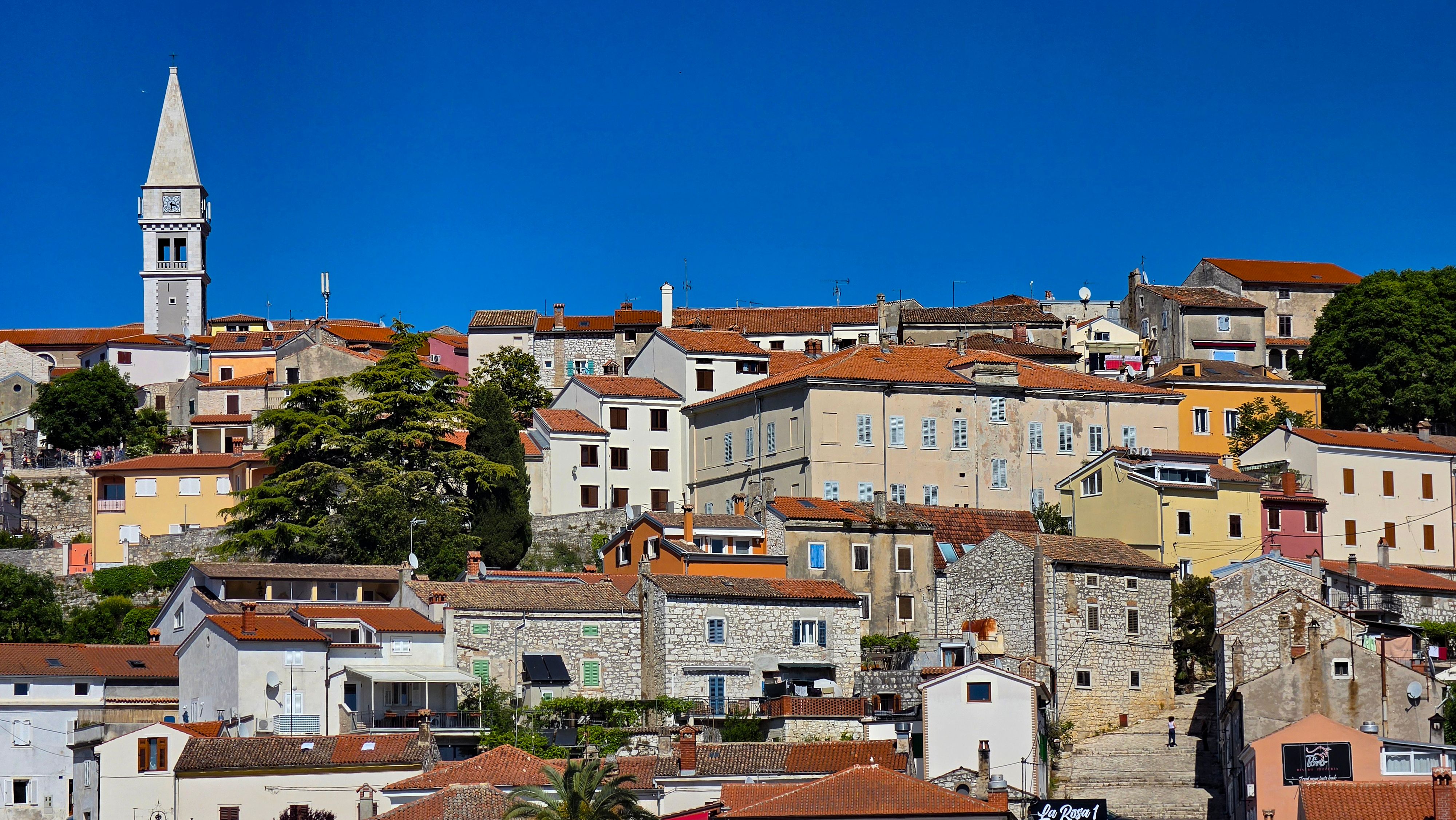Pojan