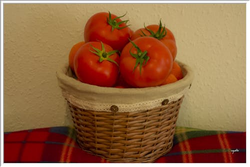 Free stock photo of tomates