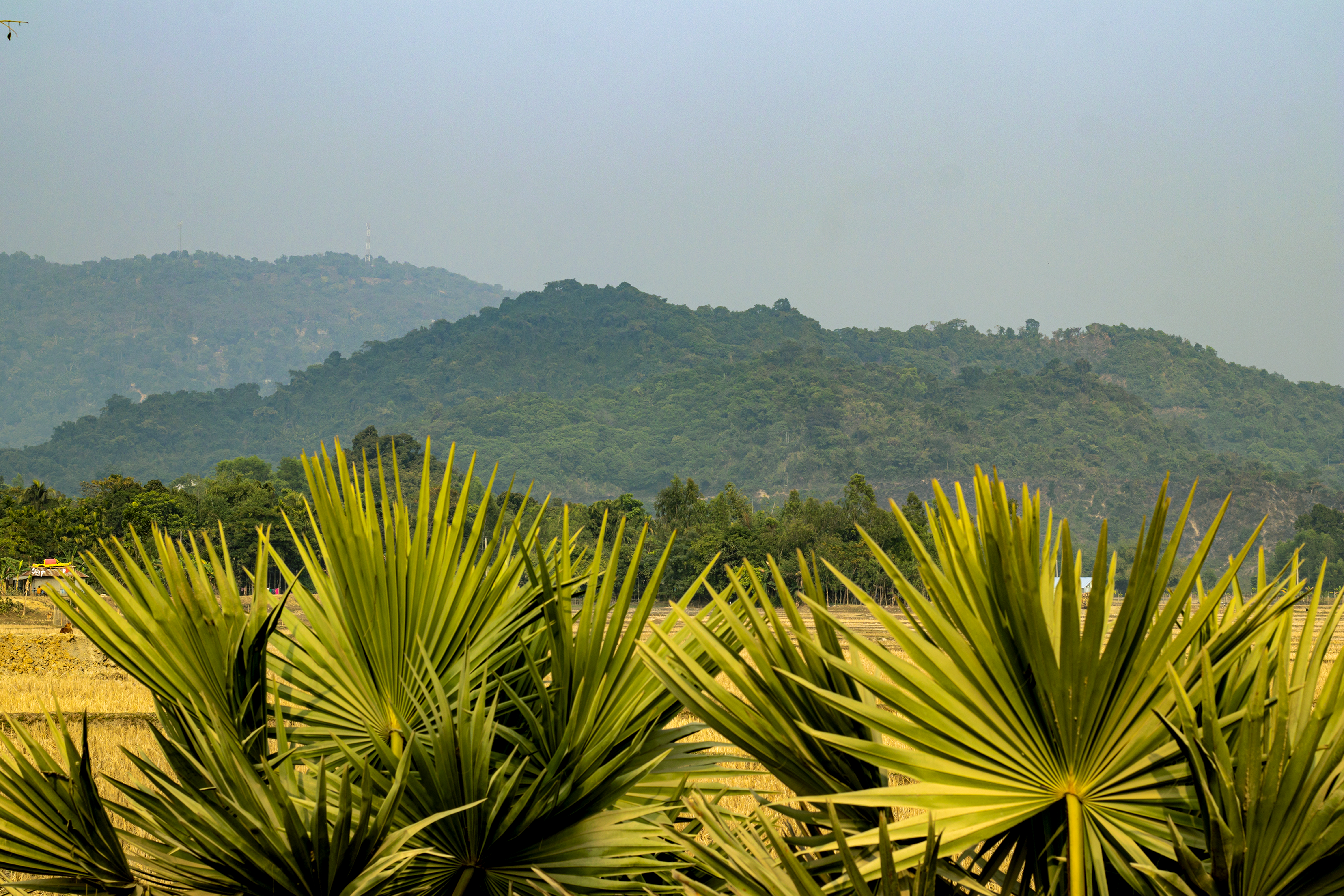 24 Day 200 Hour Hatha, Ashtanga & Vinyasa Flow YTTC in Rishikesh 1