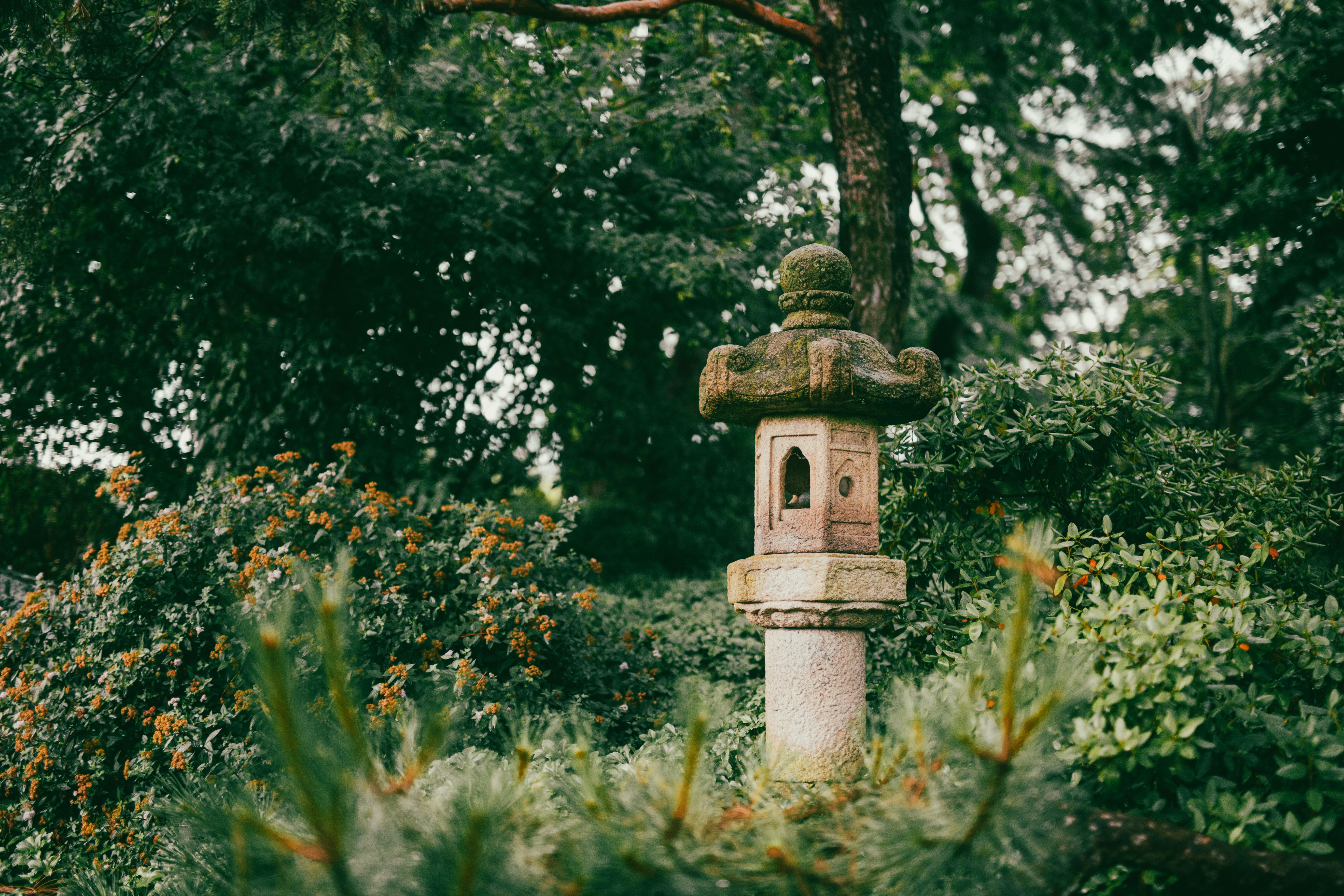 Complete garden restoration