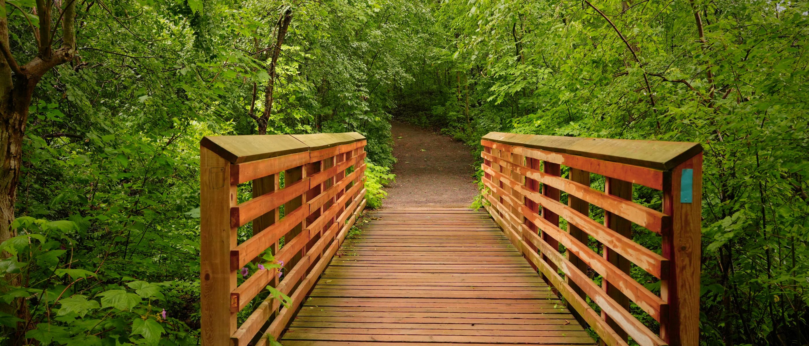 Fence and Decking Painting in Freezywater — careful masking before painting begins