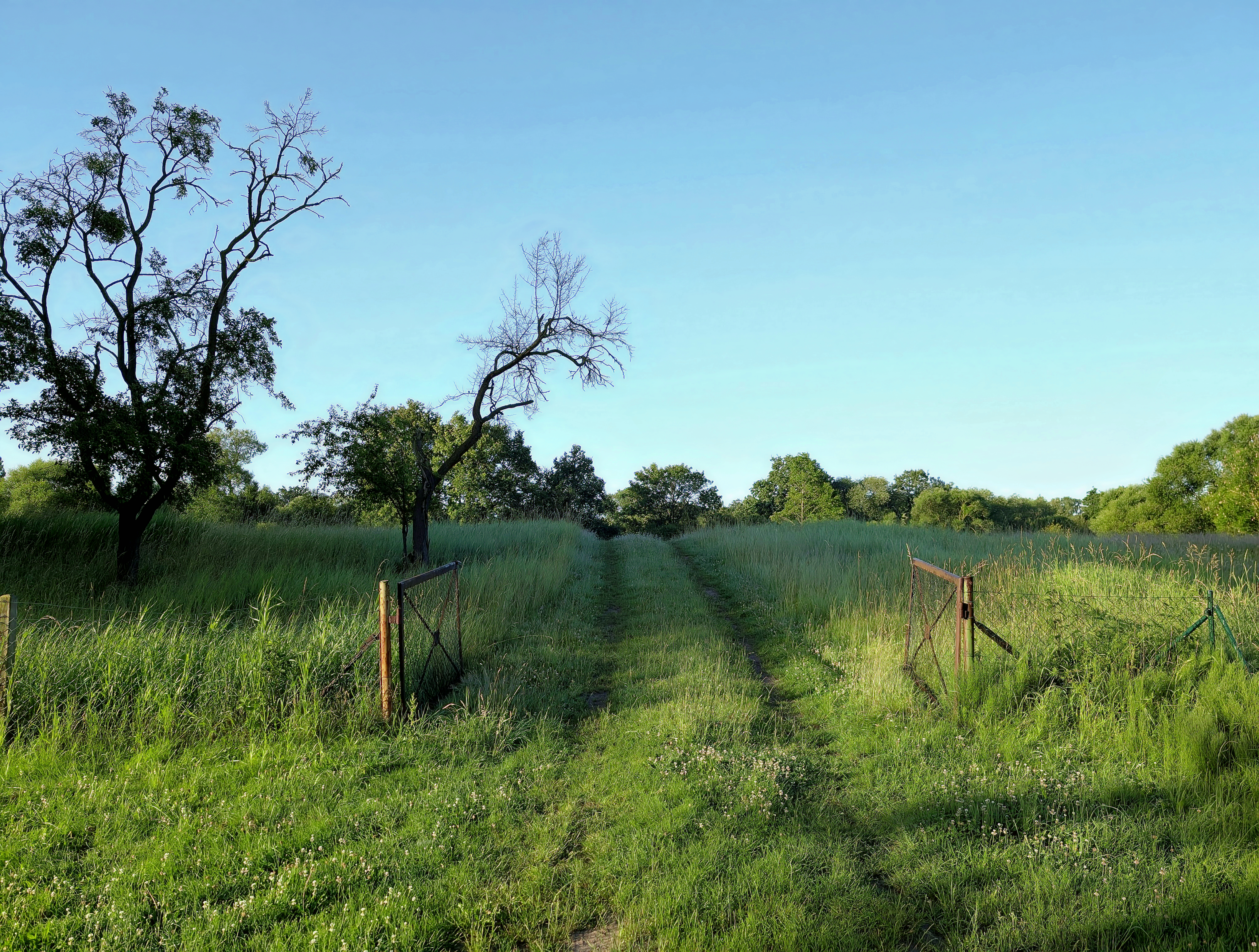 Farm gate with countryside view