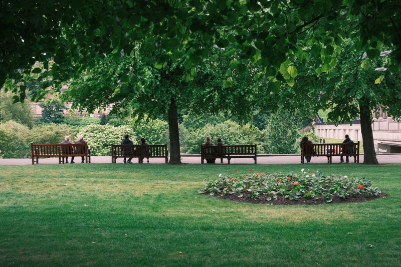 Peaceful park scene featuring benches, lush trees, and vibrant flower beds.
