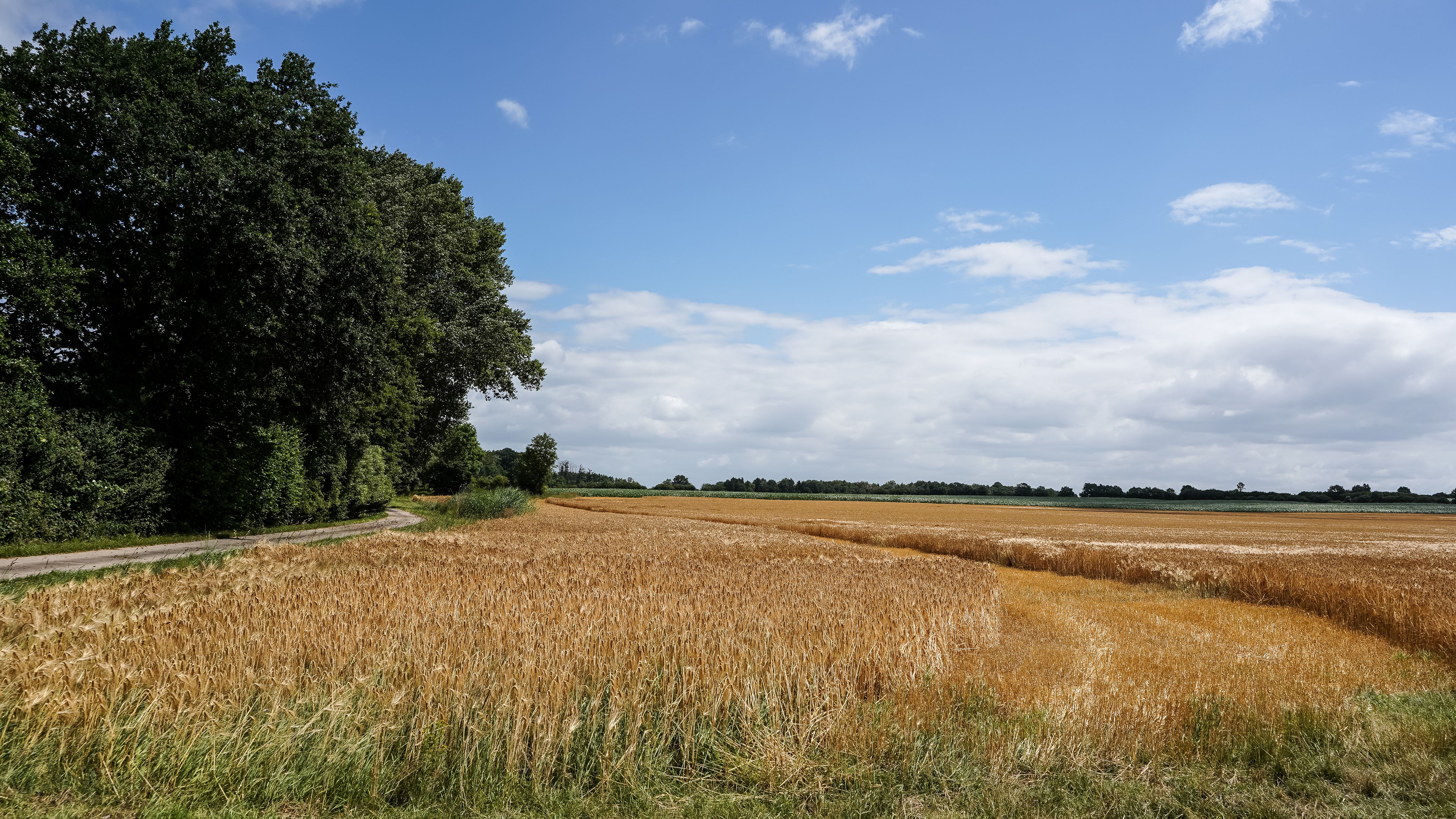 schleswig-holstein