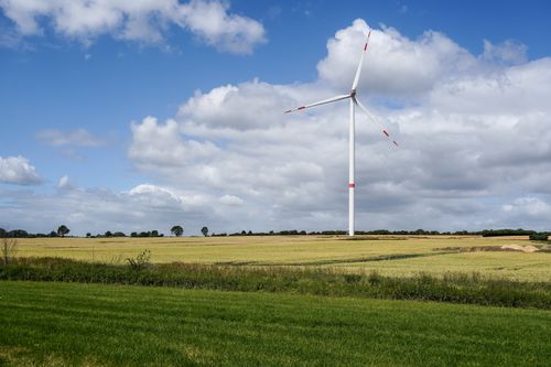 Free Wind turbine stands tall amidst expansive wheat fields in Schleswig-Holstein, Germany. Stock Photo