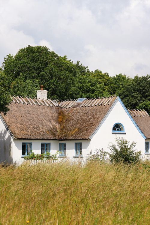 Free A picturesque thatched roof house surrounded by lush greenery in Denmark's rural landscape. Stock Photo