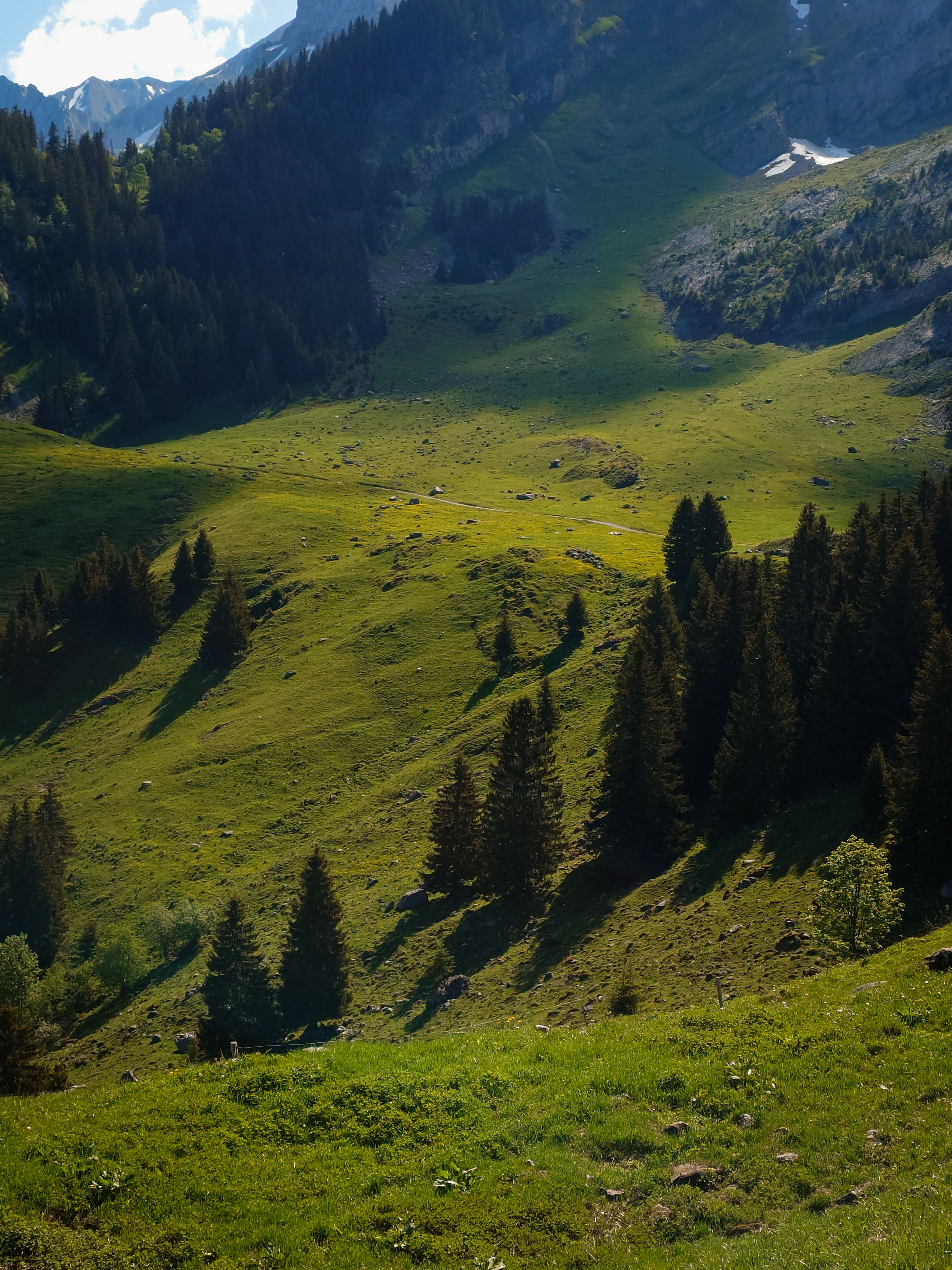 Peaceful mountain landscape in La Clusaz, France, featuring lush greenery and shadows