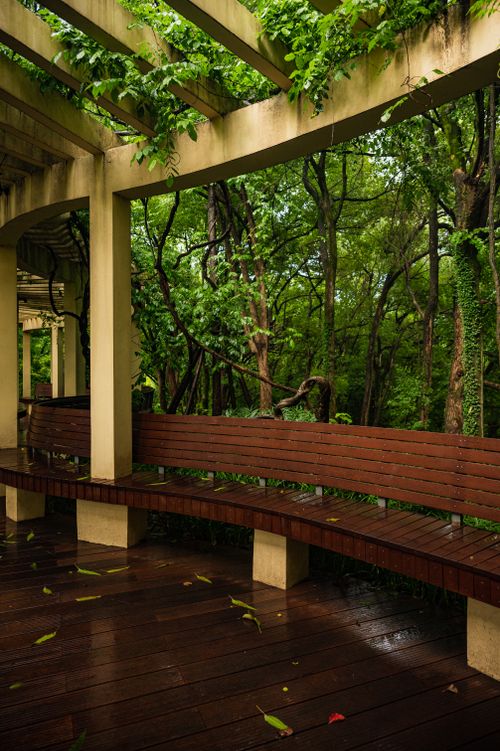 Free A tranquil forest scene with a pergola and wooden benches, ideal for relaxation. Stock Photo