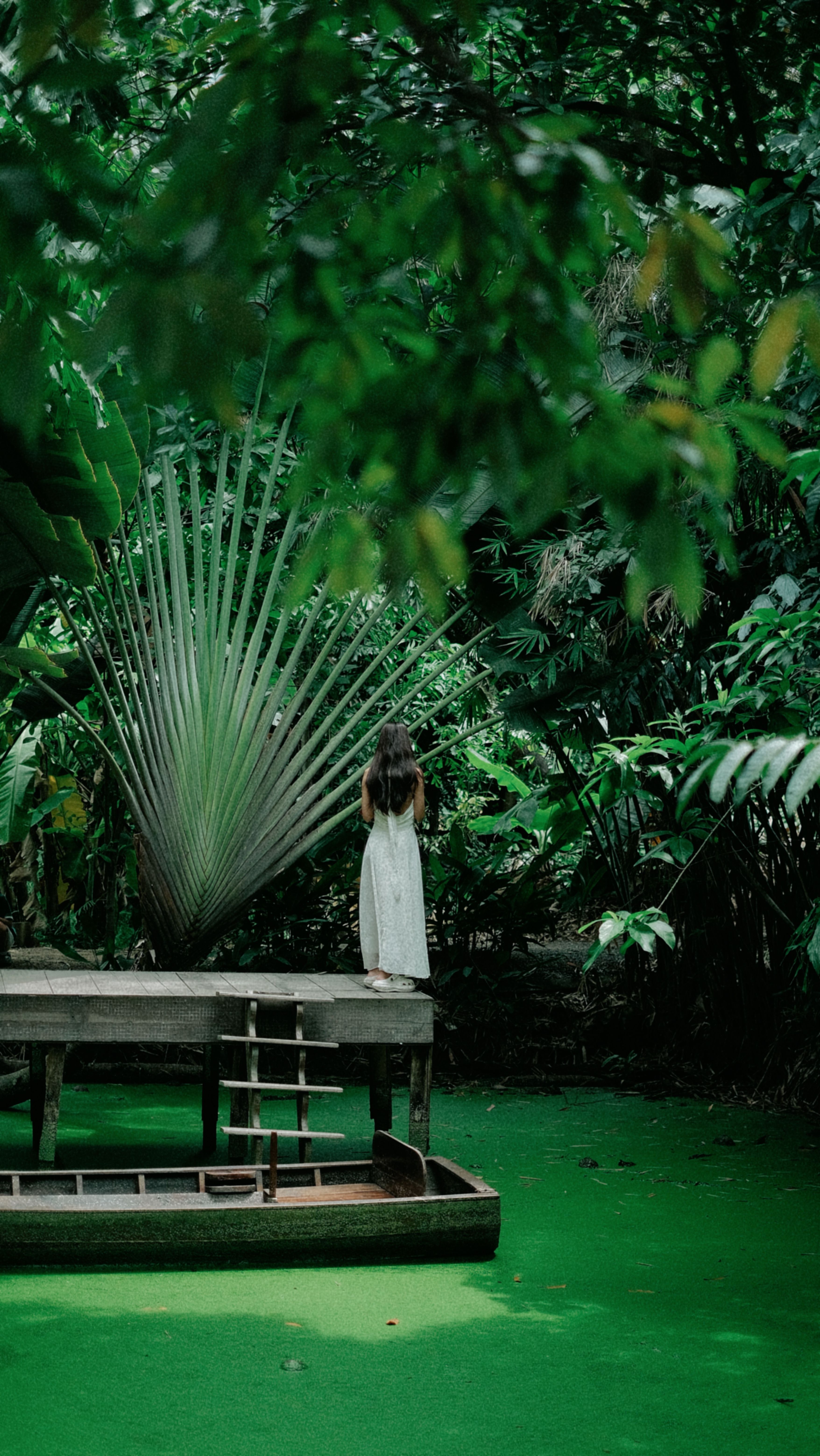 A woman in a white dress stands by a lush tropical pond surrounded by greenery.