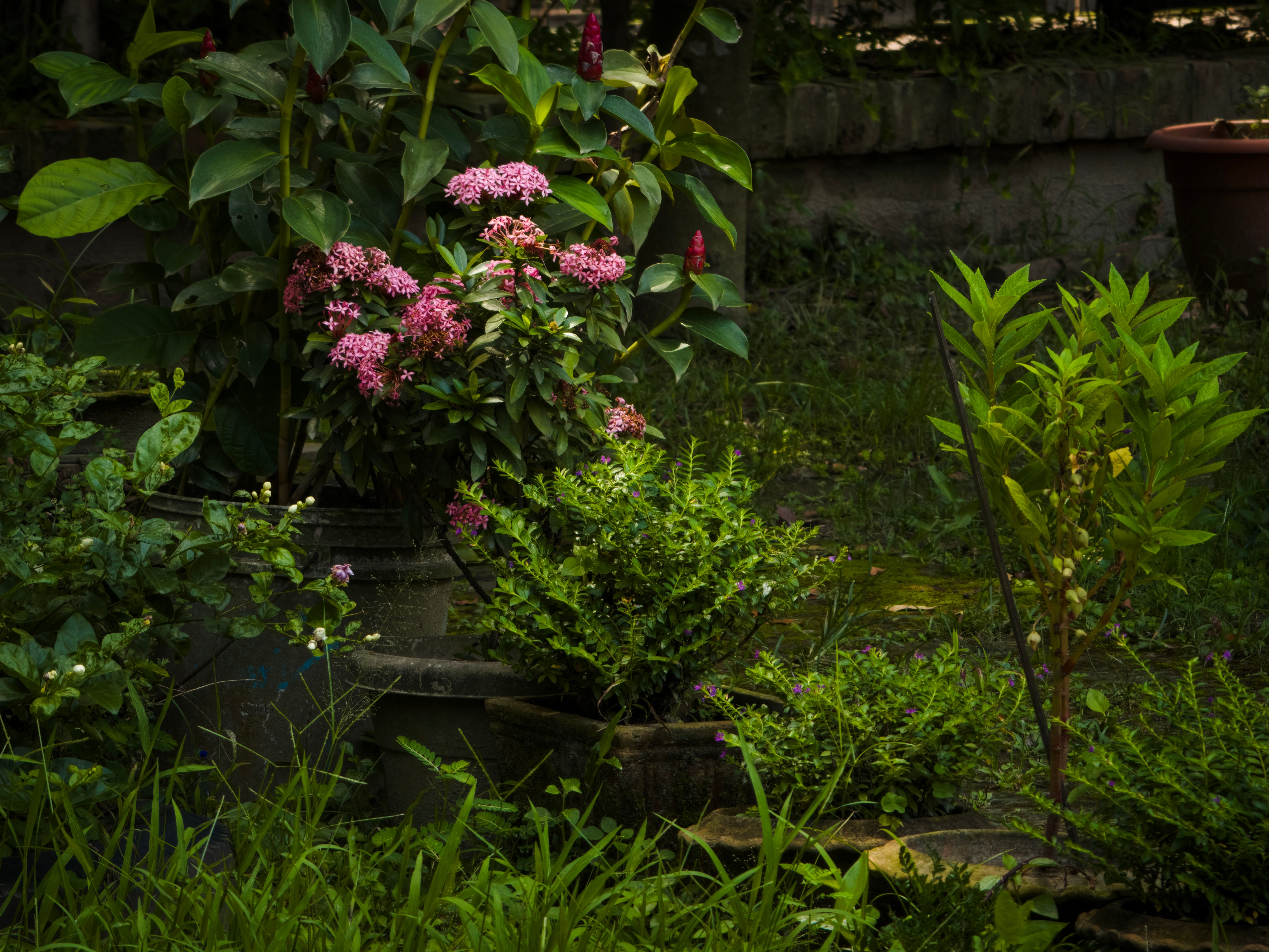 Colorful hanging pots with lush green plants in an outdoor garden setting.
